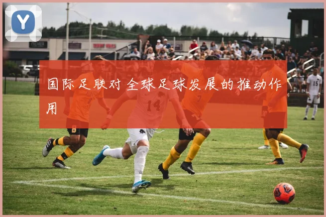 国际足联对全球足球发展的推动作用